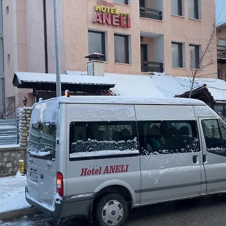 Hotell Aneli 3*