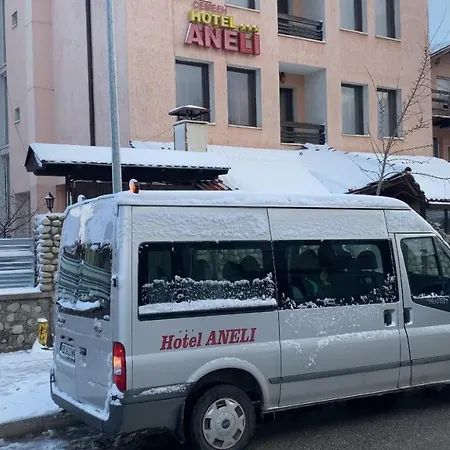 Hotel Aneli 3*